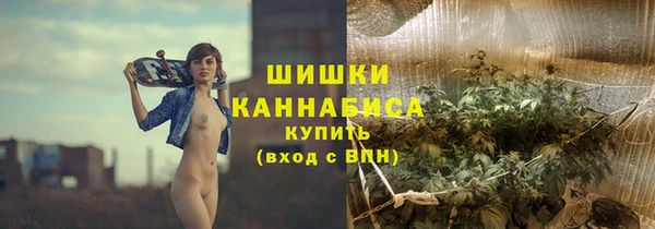 индика Богородицк
