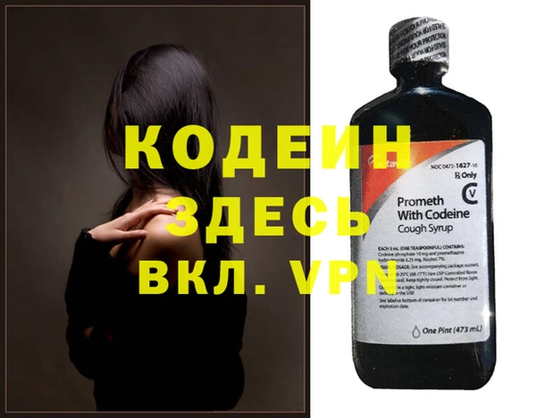 индика Богородицк