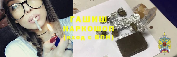 индика Богородицк
