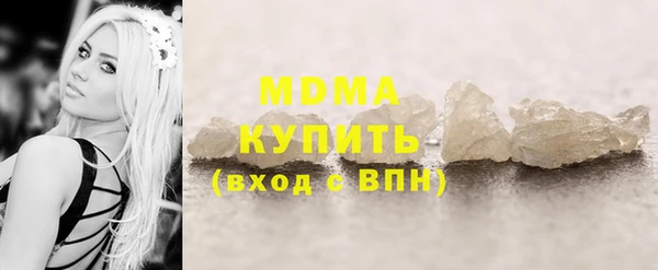 индика Богородицк