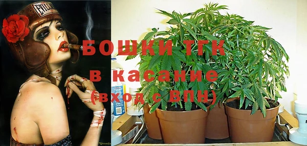 каннабис Богданович