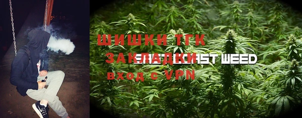 индика Богородицк