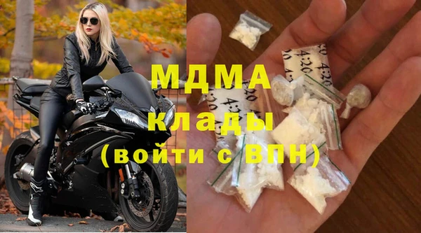 индика Богородицк