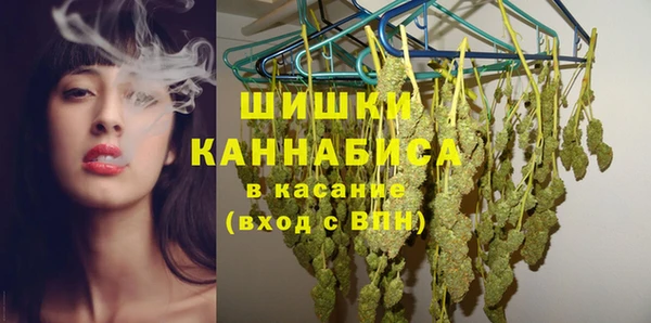 индика Богородицк