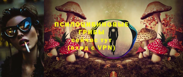 эйфоретик Богородск