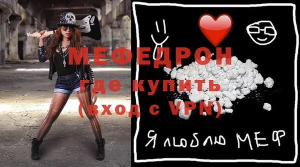 индика Богородицк