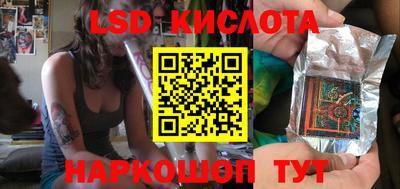 спиды Гай