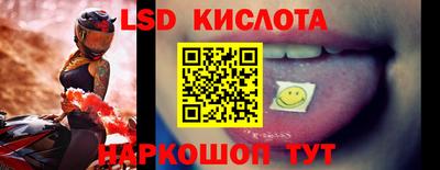 спиды Гай