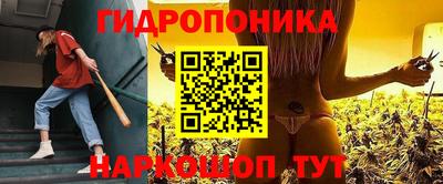 спиды Гай