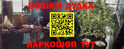 спиды Гай
