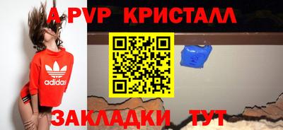 спиды Гай