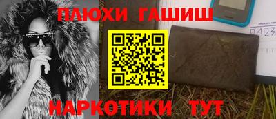спиды Гай