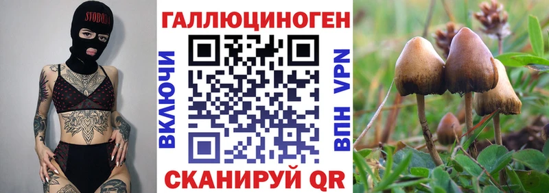 Галлюциногенные грибы GOLDEN TEACHER  Буйнакск 